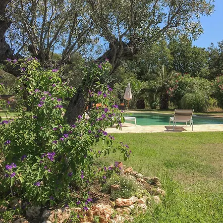 Pet Friendly In Ramatuelle