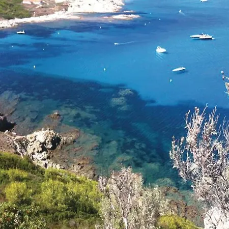 Pet Friendly In Nyaraló Ramatuelle